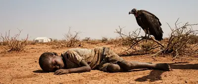 The Photographer, the Vulture, and the Child