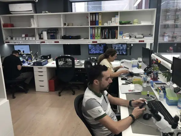 Professional Environment